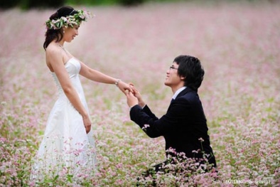 Tam giác mạch, loài hoa nao lòng kẻ lữ hành